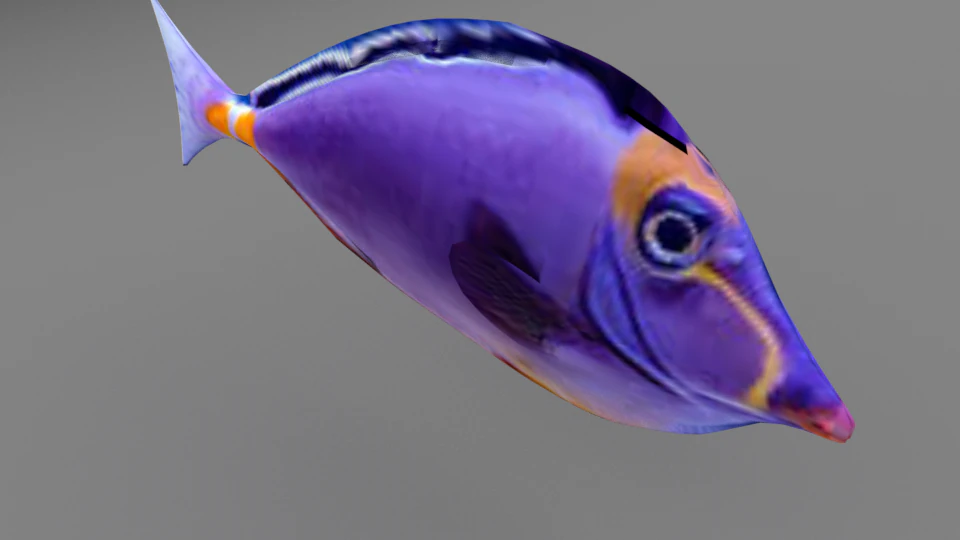ikan Model 3D .c4d .max .obj .3ds .fbx .stl .blend 