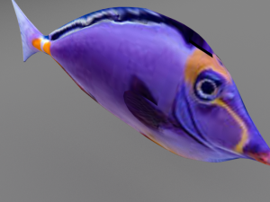 fish 3Dモデル