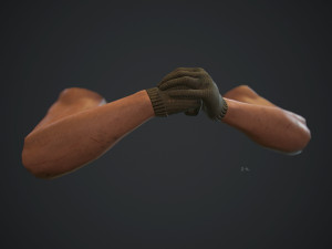 animated fps hands v30 3Dモデル