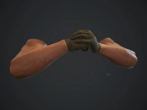 animasyonlu fps eller v30 3D Model