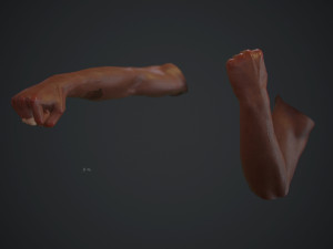 animated fps hands v30 3D Model