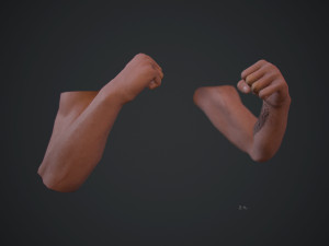 animated fps hands v30 3D Model