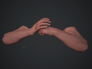 animated fps hands v30 3D Model