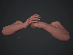 animated fps hands v30 3D Model