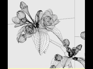 spring tree in the vase 3d max 2019 3D Model