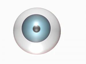 bulbo oculare Modello 3D
