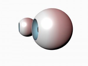 eye ball 3D Model