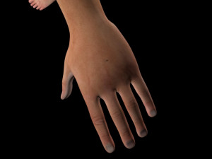 human charecter 3D Model
