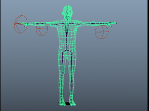 human charecter 3D Model
