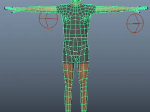 human charecter 3D Model