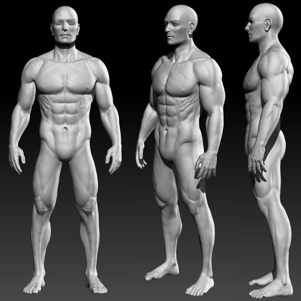 male basemesh 3D Model .c4d .max .obj .3ds .fbx .stl .blend 