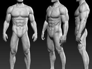 male basemesh Modelo 3D