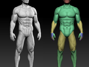 male basemesh 3D 모델