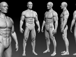 male basemesh 3D 모델