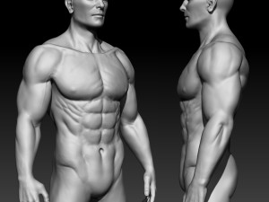 male basemesh 3D 모델