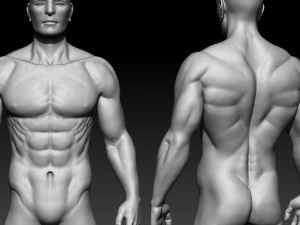 male basemesh 3D 모델