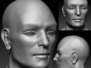 male basemesh 3D Model