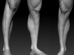 male basemesh 3D 모델