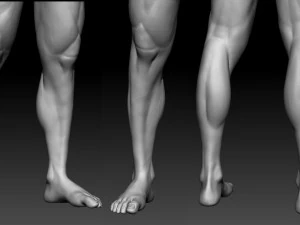 male basemesh 3D Model