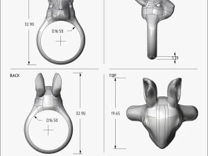 ring rabbit v1 3D Print Model