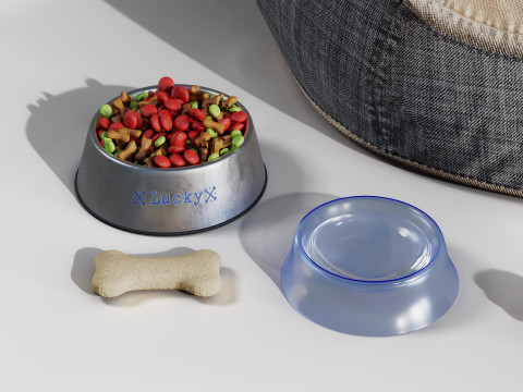 Dog accessories Model 3D