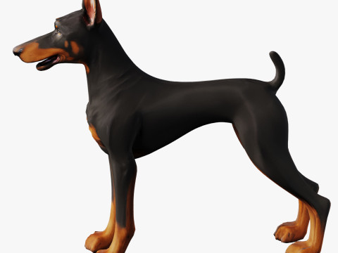 Doberman 3Dモデル