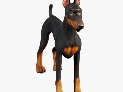 Doberman 3Dモデル
