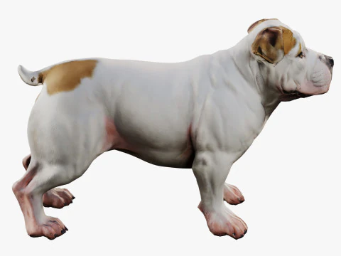 Bulldog 3D Model