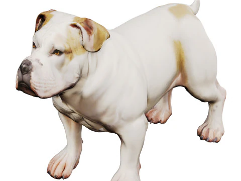 Bulldog 3D Model