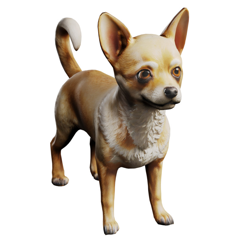 Chihuahua 3D मॉडल .c4d .max .obj .3ds .fbx .stl .blend