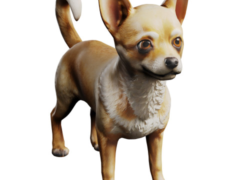 Chihuahua 3Dモデル