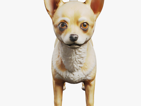Chihuahua 3D मॉडल