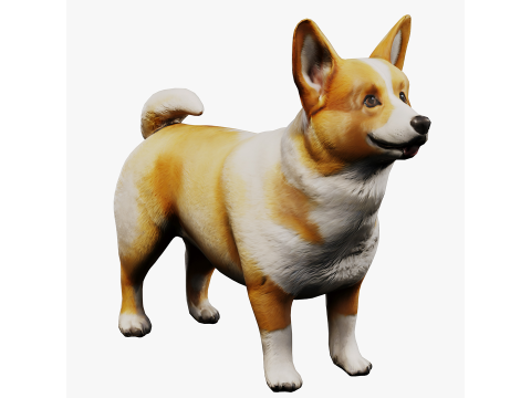Corgi 3D Model