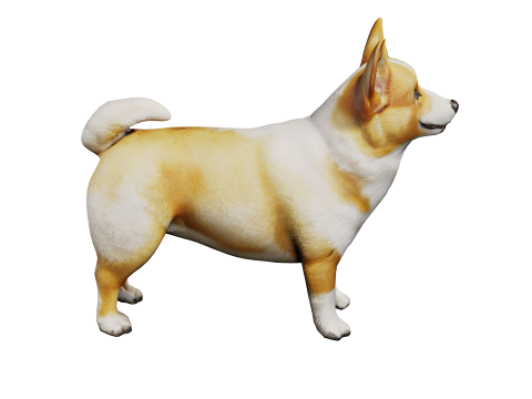 Corgi 3D Model