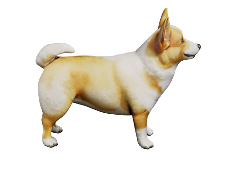 Corgi Model 3D