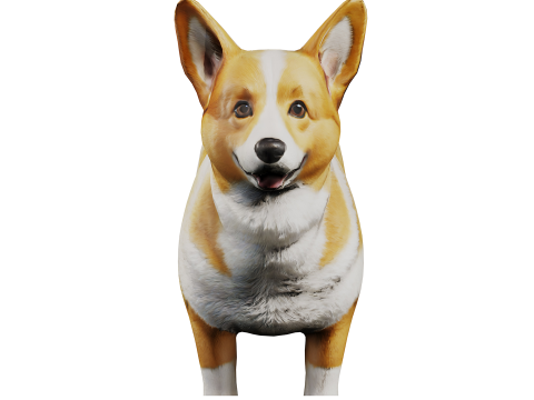 Corgi 3D Model