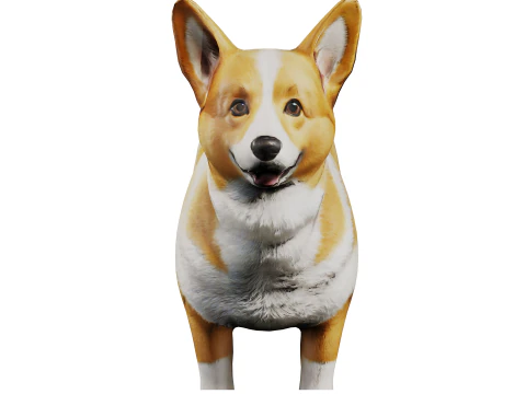 Corgi Model 3D