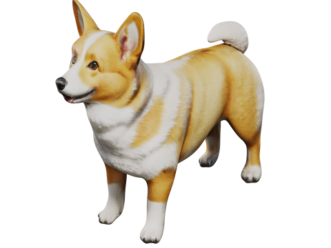Corgi 3D Model