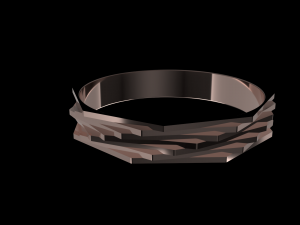 simple ring 2 3D 模型