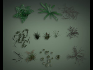 stones and grass Model 3D