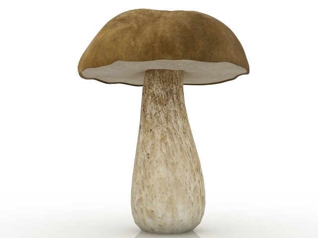 porcini Modelo 3D .c4d .max .obj .3ds .fbx .stl .blend 