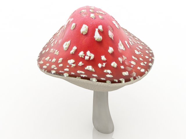 amanita Modelo 3D .c4d .max .obj .3ds .fbx .stl .blend 