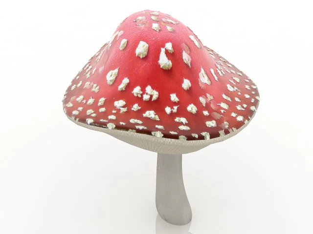 amanita 3D Model .c4d .max .obj .3ds .fbx .stl .blend 