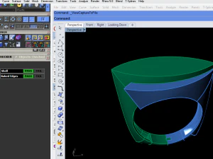 gold leaf 3D Print Model