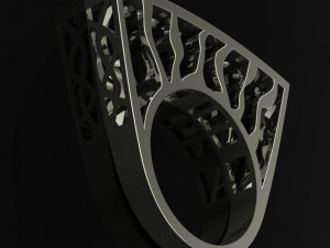 seven ring 3D 打印模型