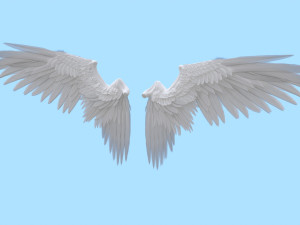 Wings 3D 模型