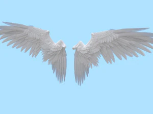Wings 3D Model
