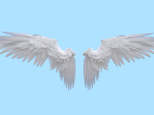 Wings 3D 模型