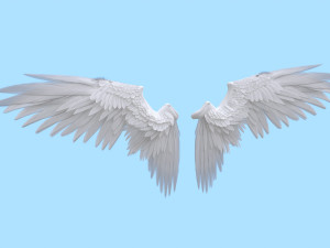 Wings 3D 模型