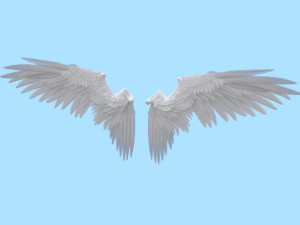 Wings 3D 模型